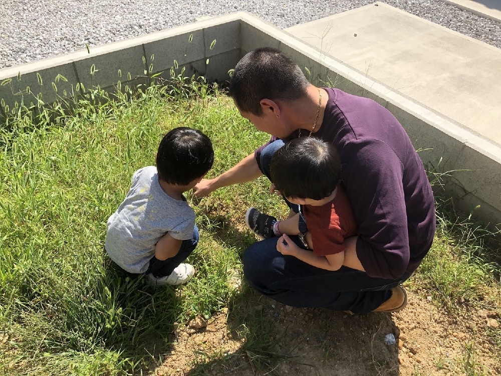 建築中の新居にどんぐりを植えている