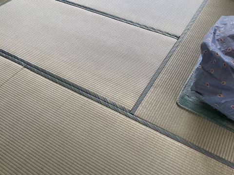 リビング、和室、廊下、風呂、洗面所、トイレをリフォームしました。東急リゾート55街区